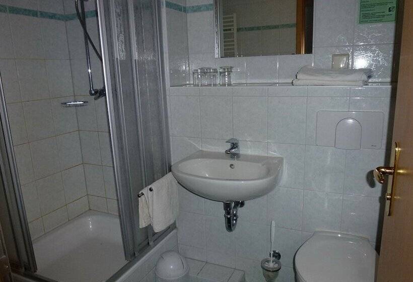 Номер Стандарт с Балконом, Parkhotel Bad Brambach