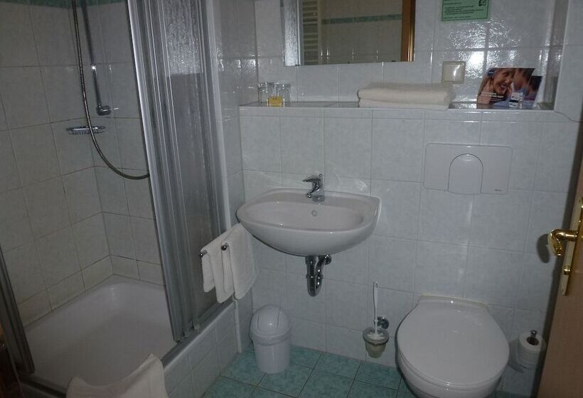 Номер Стандарт Индивидуальный, Parkhotel Bad Brambach