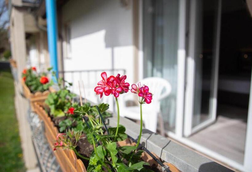 标准单人间, Willmeroth Windeck