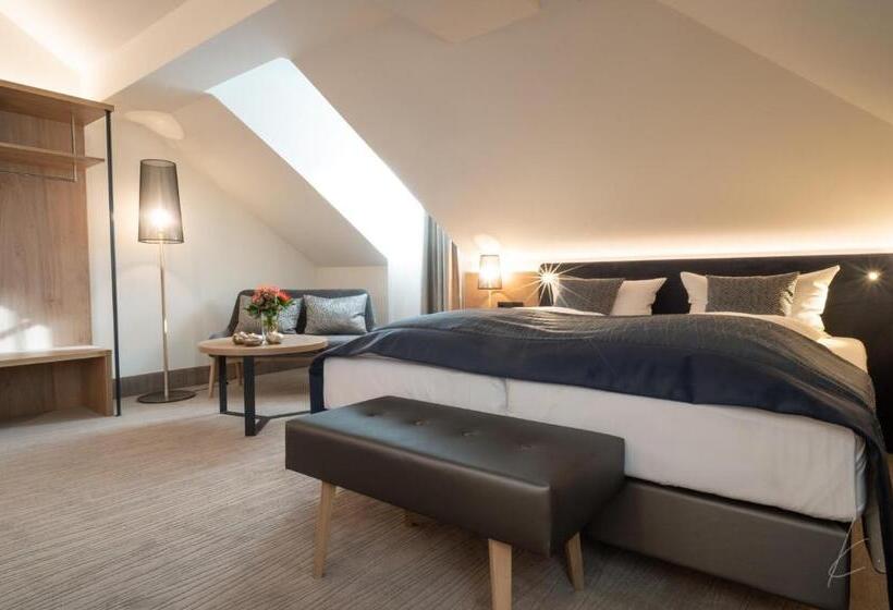 舒适型房间, Romantik Hotel Villa Sayn