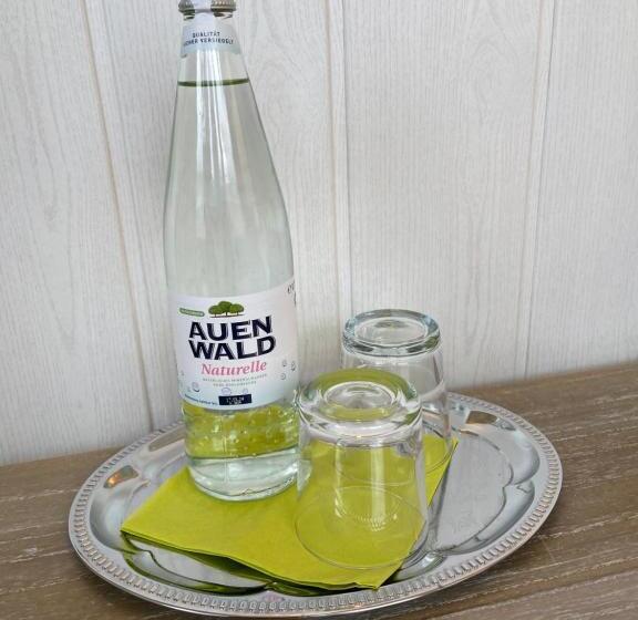 غرفة قياسية, Villa Vital Munster