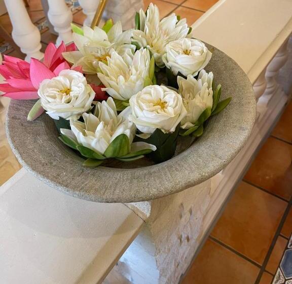 شقة ديلوكس غرفة واحدة, Villa Vital Munster