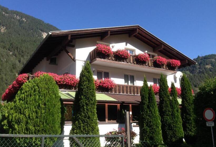 １ベッドルームアパートメント, Appartments Stefania