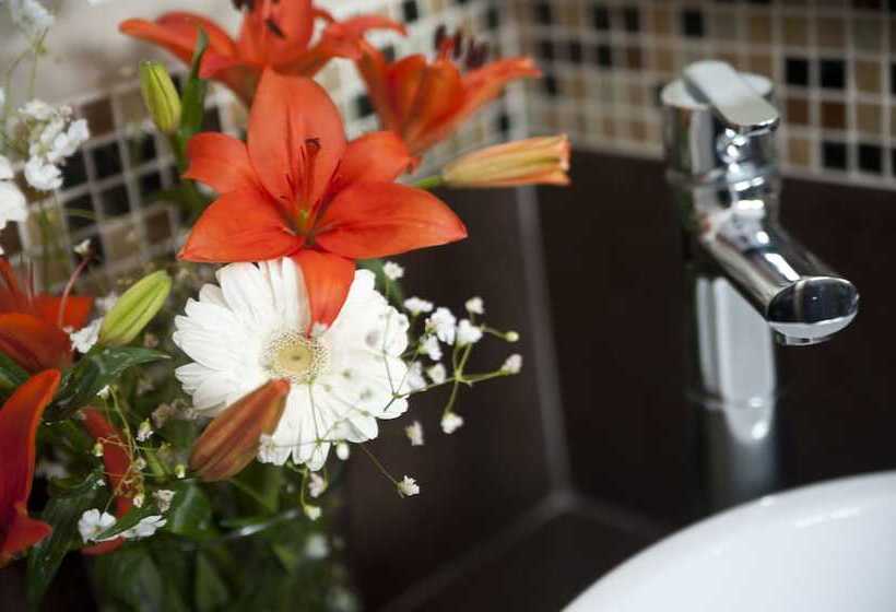 スタンダードルーム, Casa Felicidad