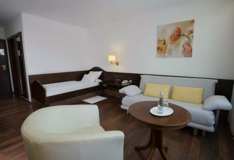 Comfort Yhden Hengen Huone, City