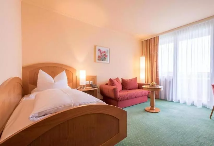 اتاق استاندارد یک نفره, Gesundheitshotel Weißenstadt Am See