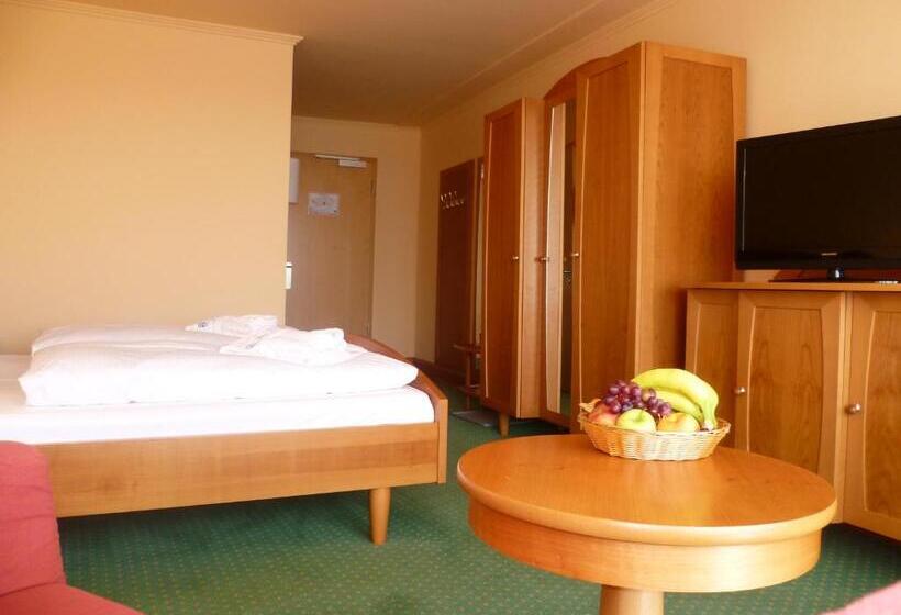 Номер Стандарт, Gesundheitshotel Weißenstadt Am See