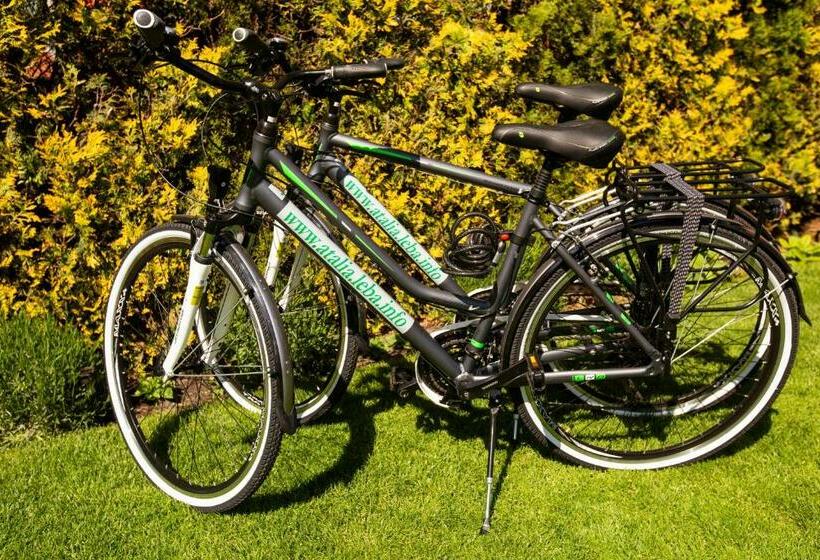 اتاق استاندارد, Dom Atalia Wynajem Pokoi