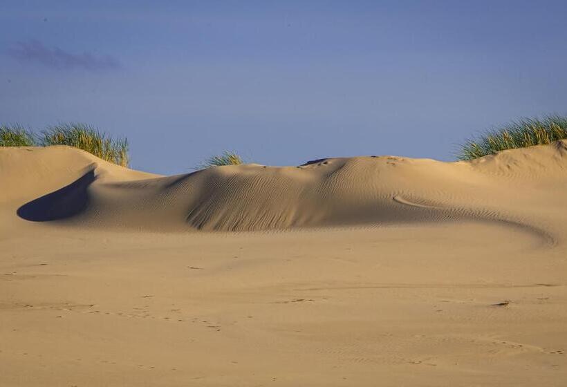 آپارتمان 1 خوابه, Dom Atalia Wynajem Pokoi