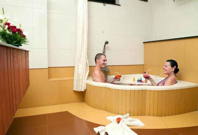 استودیوی استاندارد, Elephant Court Thekkady