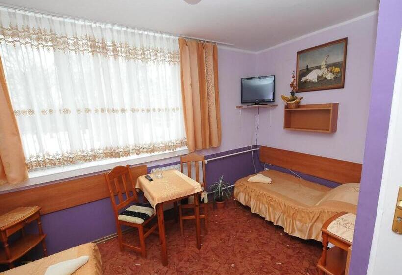 اتاق استاندارد یک نفره, Logan