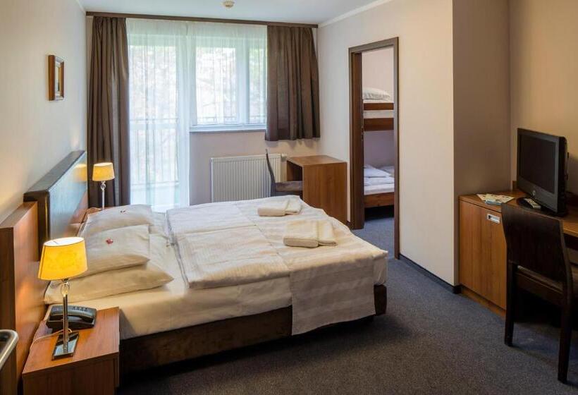 Студия Стандарт, Maximus Spa