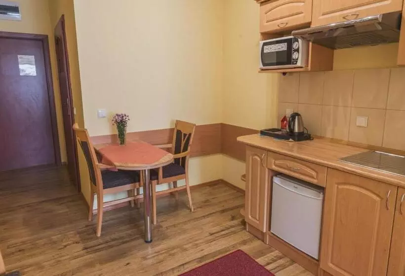 Deluxe-huone Parveke, Okulski Grand Rozewie