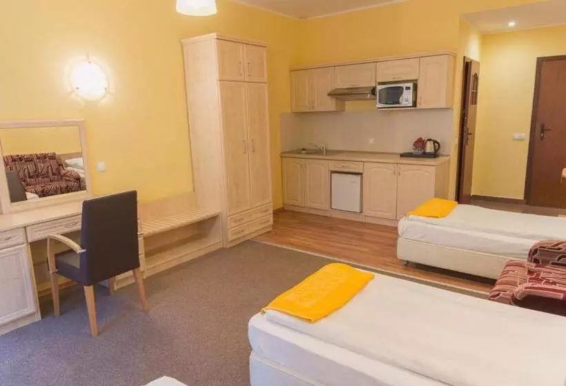 Deluxe-huone Parveke, Okulski Grand Rozewie