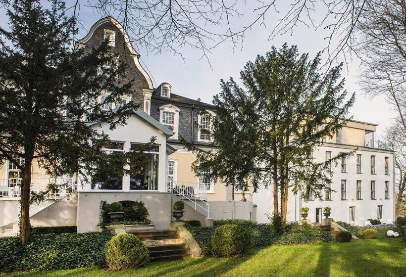 비즈니스룸, Park Villa