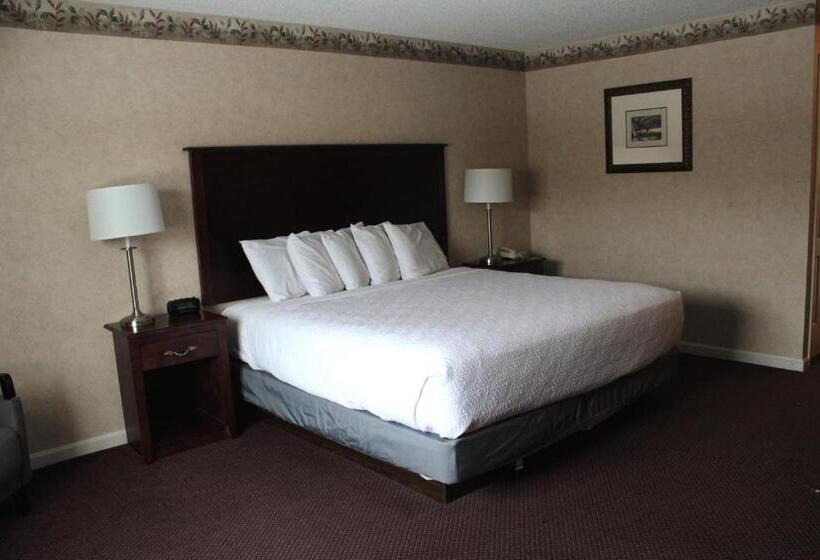 غرفة ديلوكس سرير كينج, Shiretown Inn & Suites