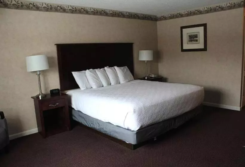 キングサイズベッドのデラックスルーム, Shiretown Inn & Suites
