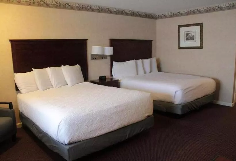 デラックスルーム, Shiretown Inn & Suites