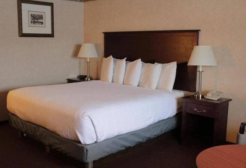 غرفة سوبيريور سرير كينج, Shiretown Inn & Suites