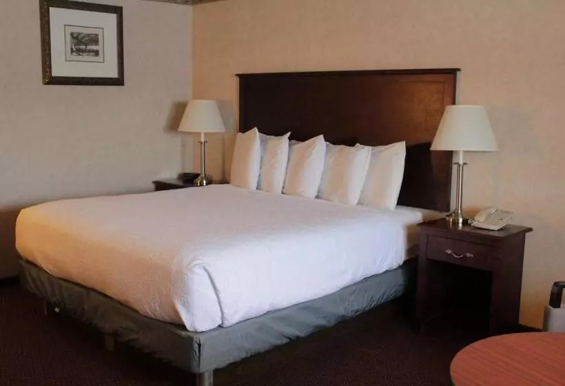 キングサイズベッドのスーペリアルーム, Shiretown Inn & Suites