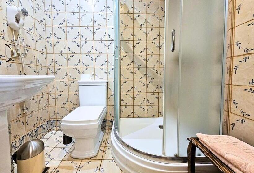 اتاق استاندارد, Willa Bajka