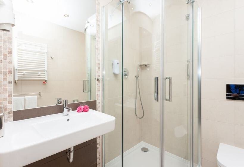 חדר סטנדרט, Lambert Medical Spa