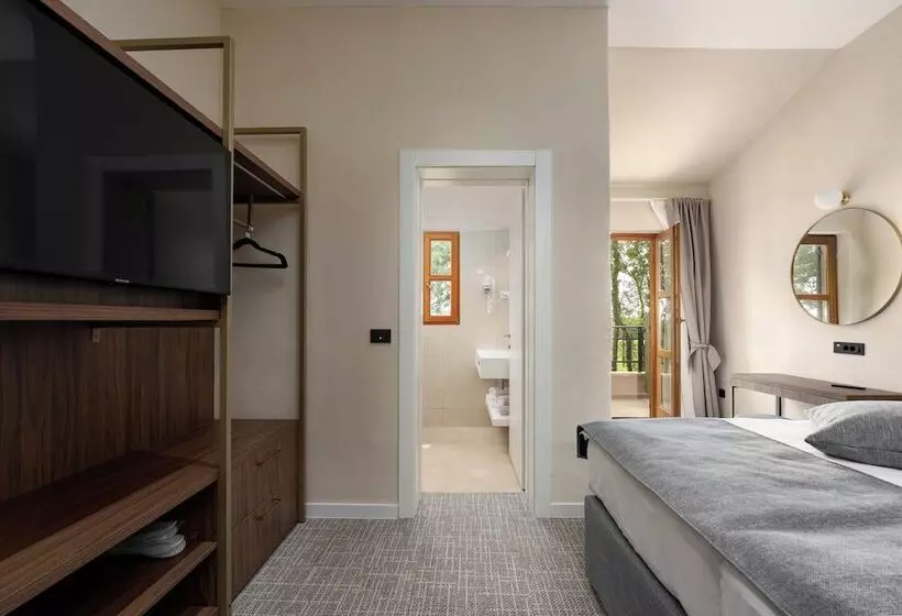 اتاق استاندارد با بالکن, Boutique Hotel Paradiso