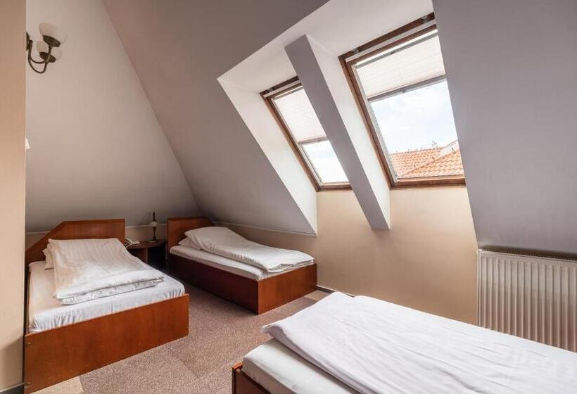 اتاق استاندارد سه نفره, Villa Pallas