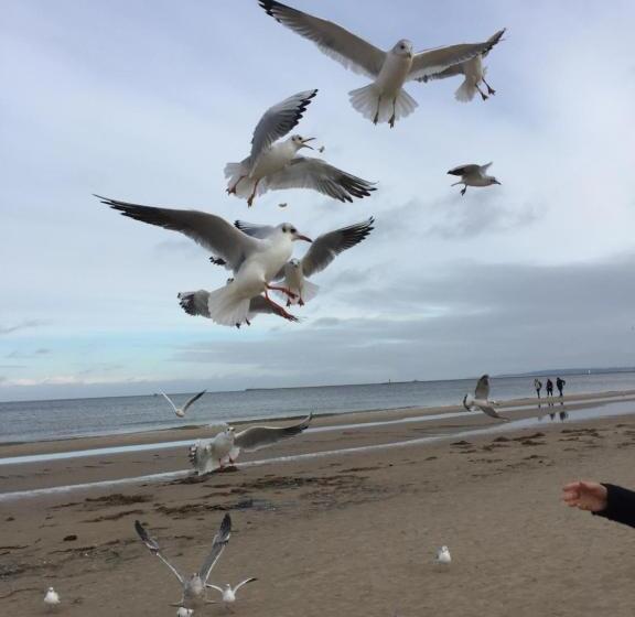 标准间, West Baltic Resort Wellness & Spa