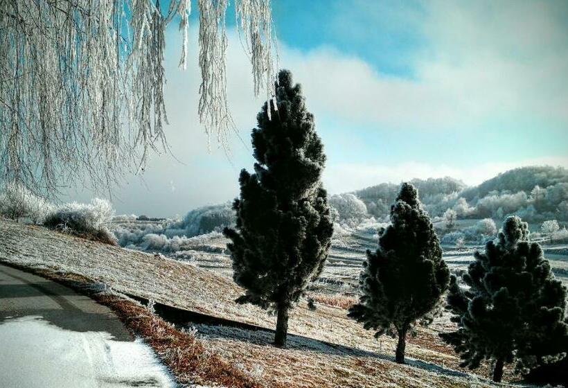 １ベッドルームハウス, Discover The Magic Of Nature