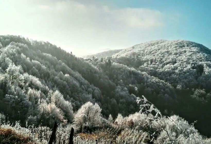 Talo 1 Makuuhuone, Discover The Magic Of Nature