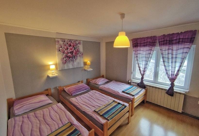 １ベッドルームハウス, Discover The Magic Of Nature