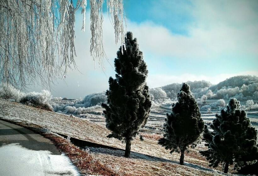 خانه 1 خوابه, Discover The Magic Of Nature