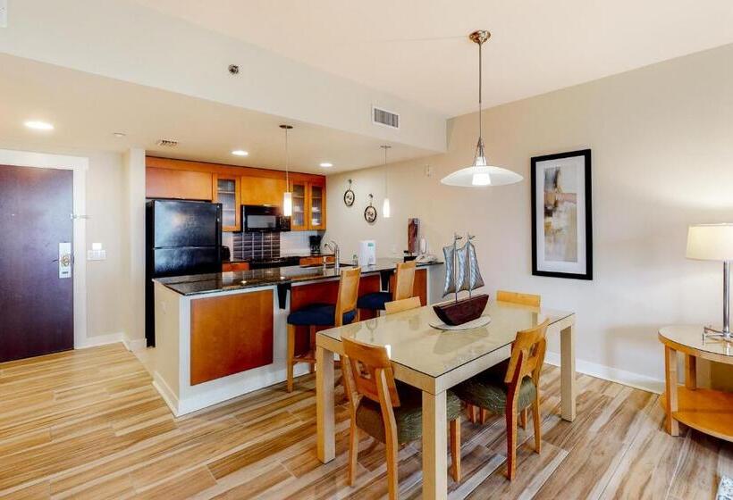 شقة غرفة واحدة, Bahia Condos