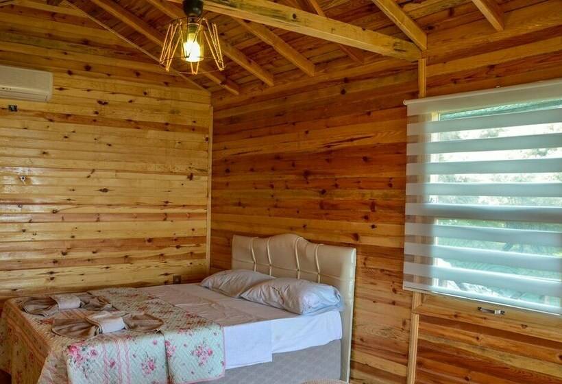 Апартаменты Basic 1 Спальня, Cakir Bungalov Evi