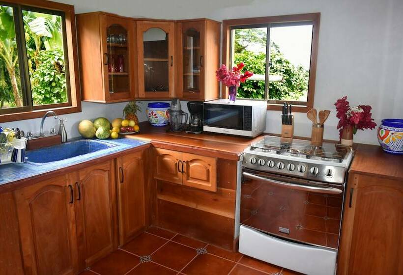 빌라 침실 1개, Finca Ometepe