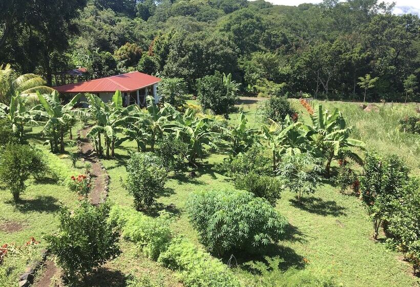 빌라 침실 1개, Finca Ometepe