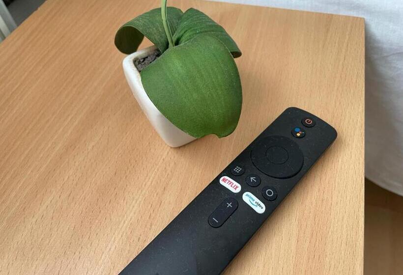 اتاق استاندارد با سرویس بهداشتی مشترک, Padborg