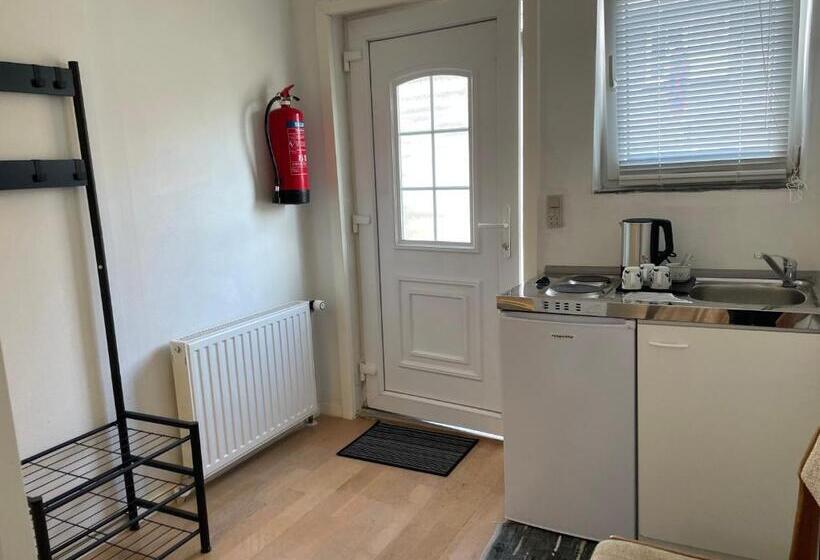 استودیوی استاندارد, Padborg