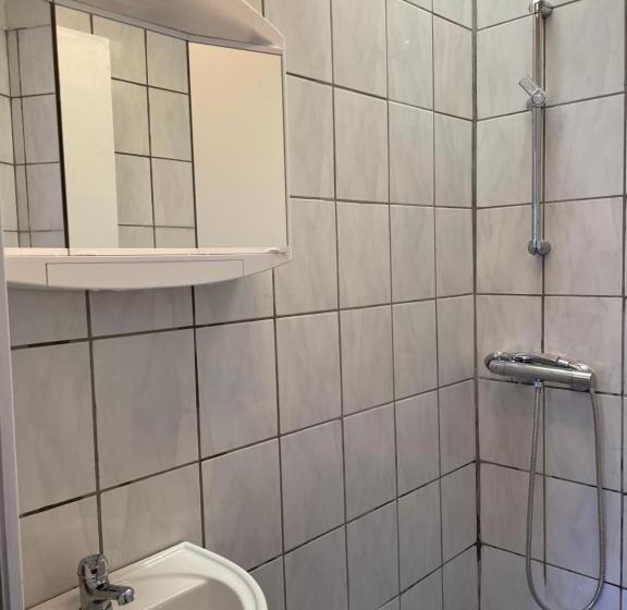 استودیوی استاندارد, Padborg