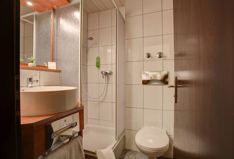 اتاق استاندارد یک نفره, Trip Inn Hotel Blankenburg