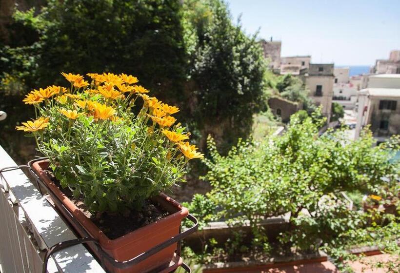 غرفة قياسية, L'argine Fiorito