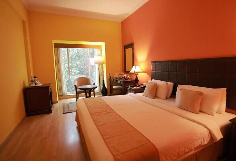 غرفة سوبيريور, Mgm Mark Whitefield