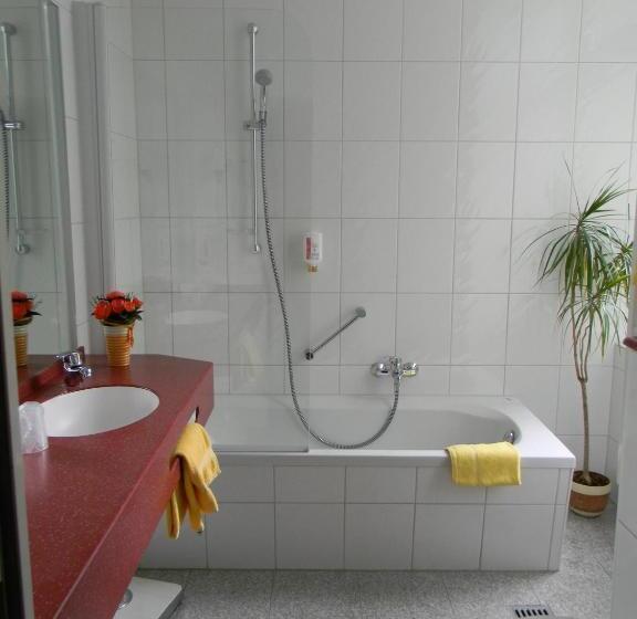 اتاق استاندارد, Trip Inn Hotel Blankenburg