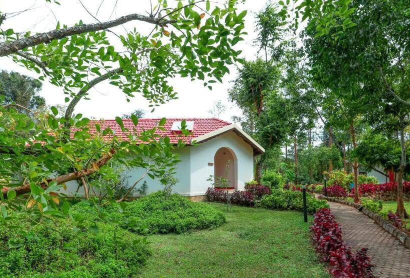 豪华房间, Kadkani River Resort