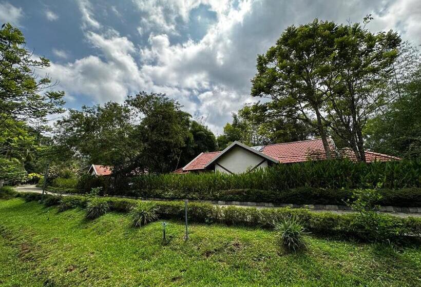 디럭스 룸, Kadkani River Resort