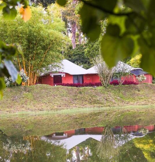 带大床的行政房间, Kadkani River Resort