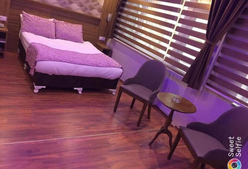 חדר סטנדרט, Göznur Otel