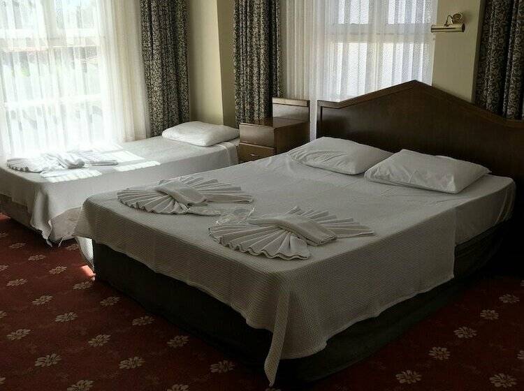 スタンダードルーム, Antik Ridvan