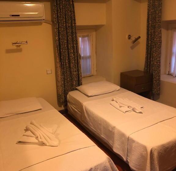 スタンダードルーム, Antik Ridvan